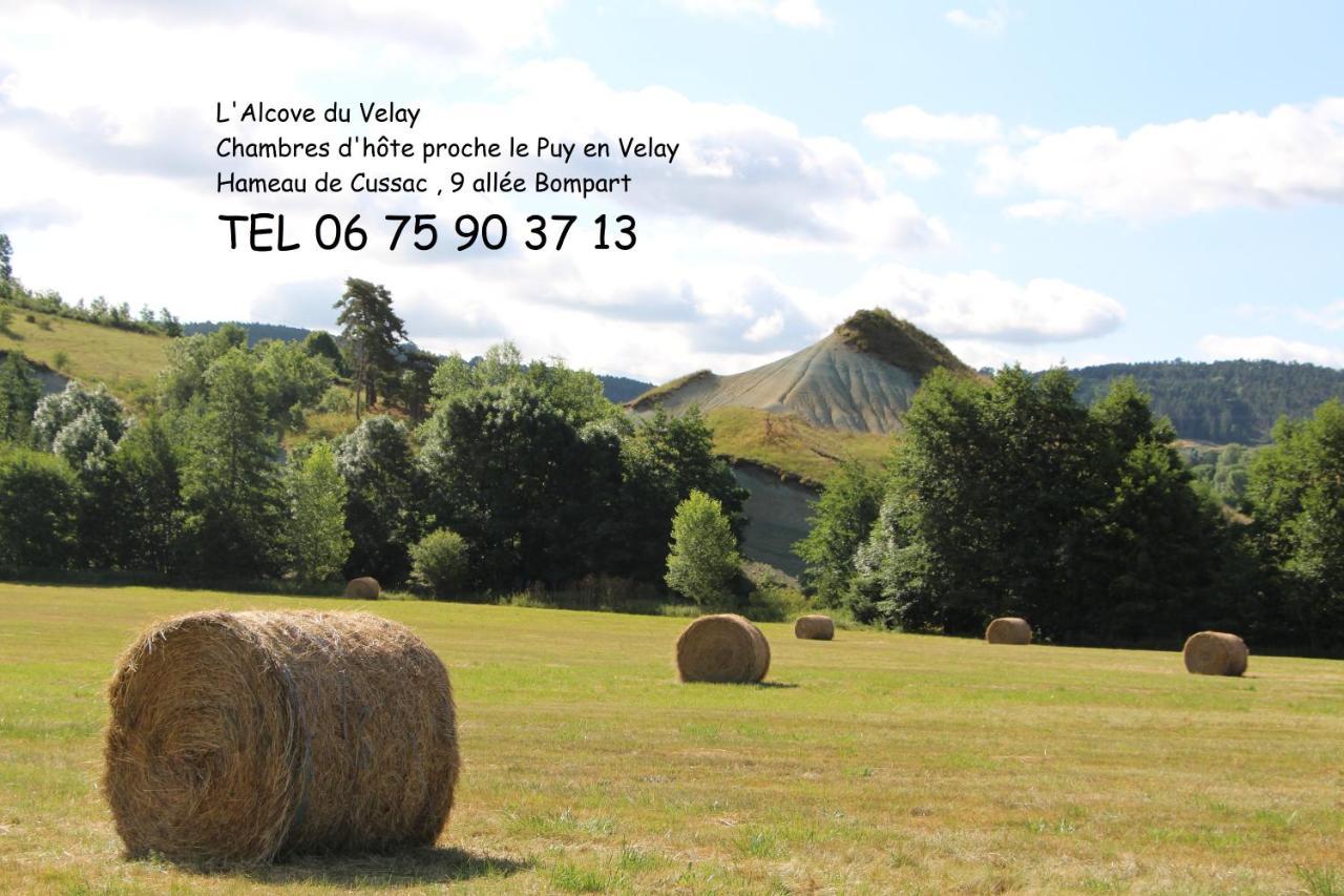 Alcove Du Velay Bed & Breakfast Rochelimagne Екстериор снимка
